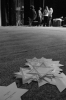 fotka_45